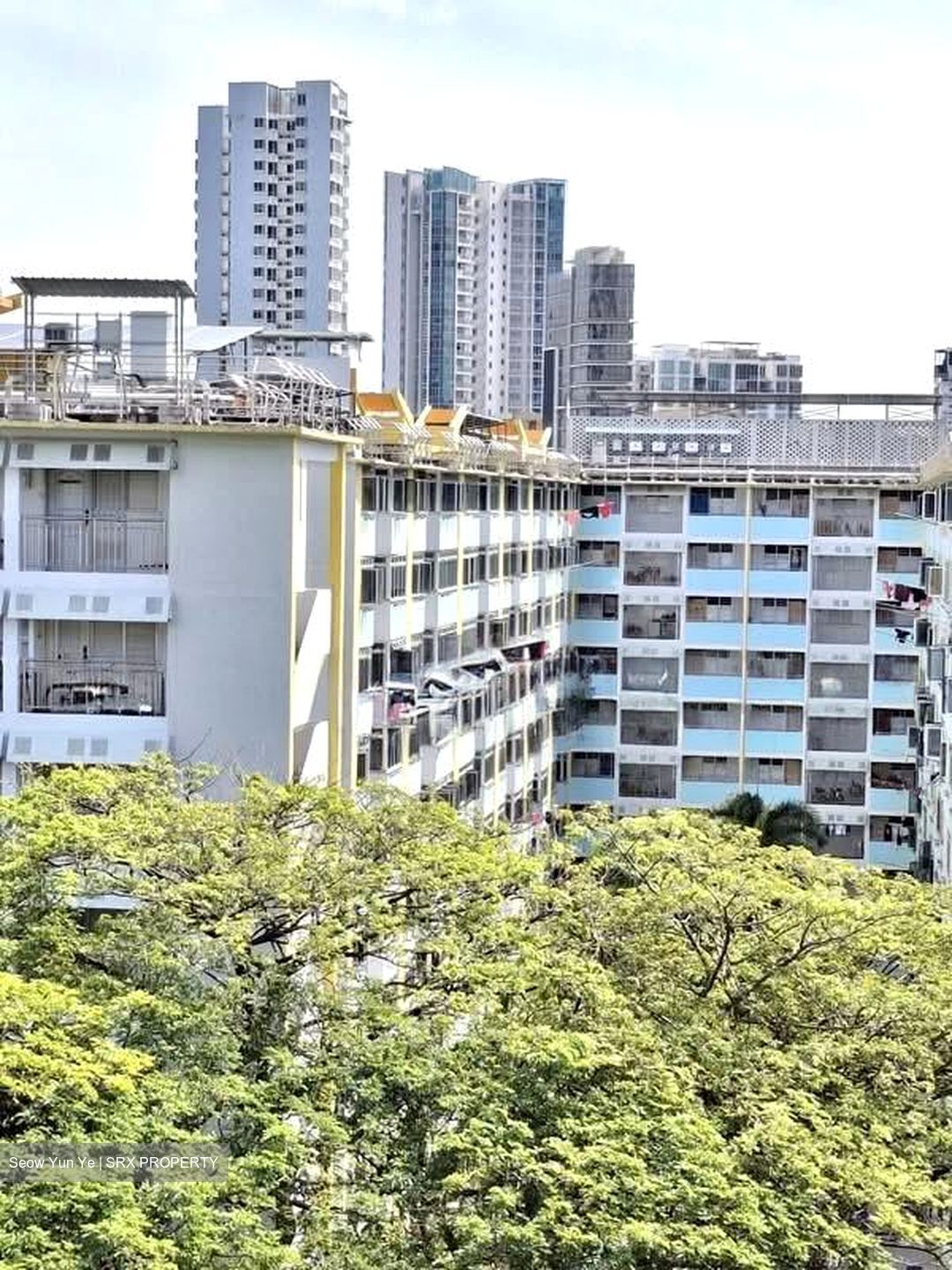 Blk 27 Whampoa Gardens (Toa Payoh), HDB 3 Rooms #597723431